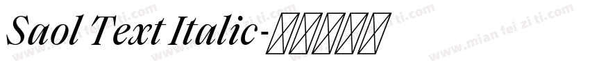 Saol Text Italic字体转换